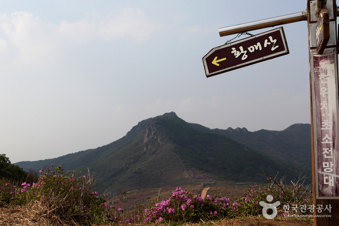 황매산(산청) 황매산(산청)