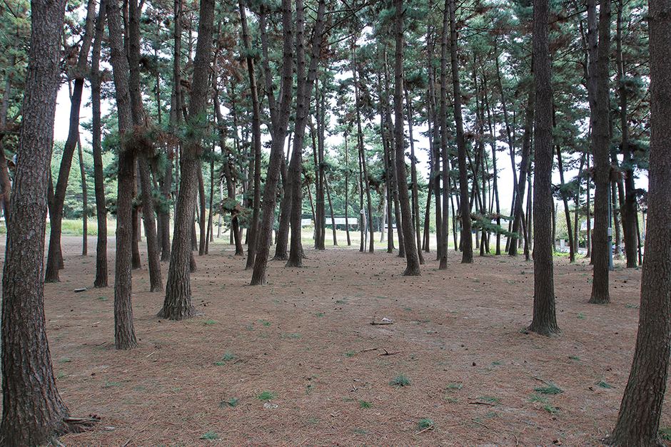ソルネウム野営場