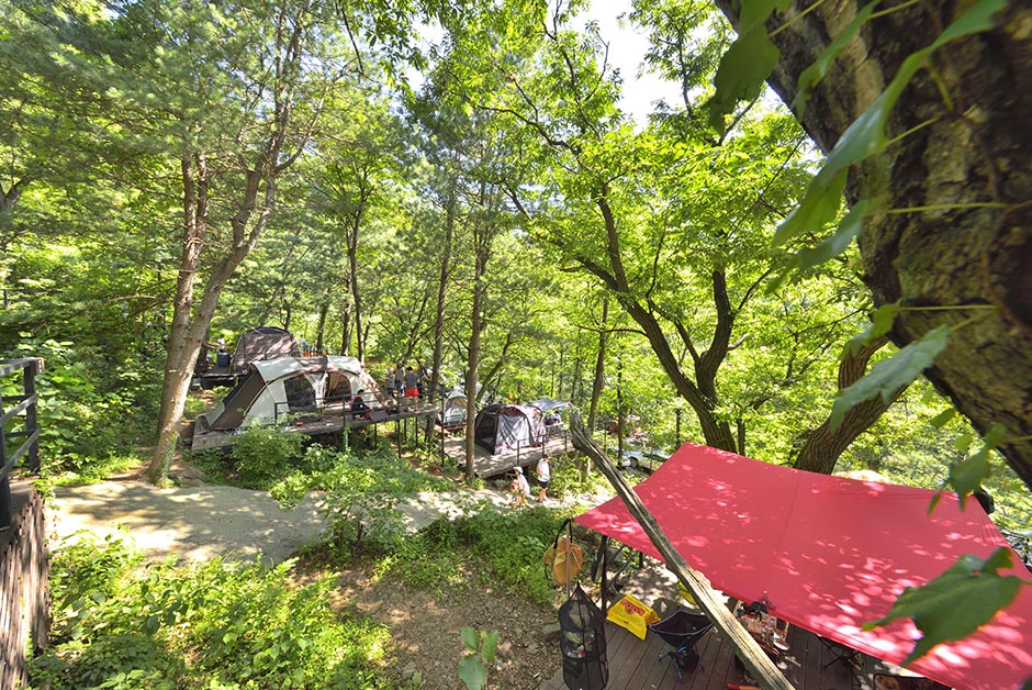 虎鸣山营地