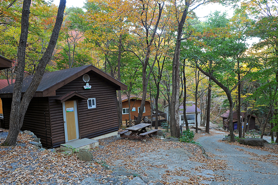 巨済自然休養林キャンプ場