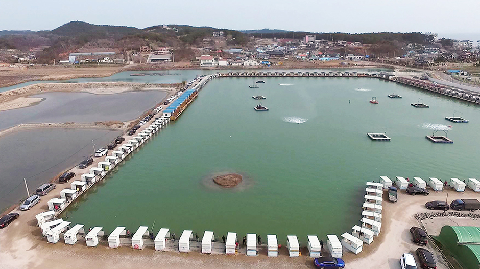 Yeongheung Sea Fishing Spot