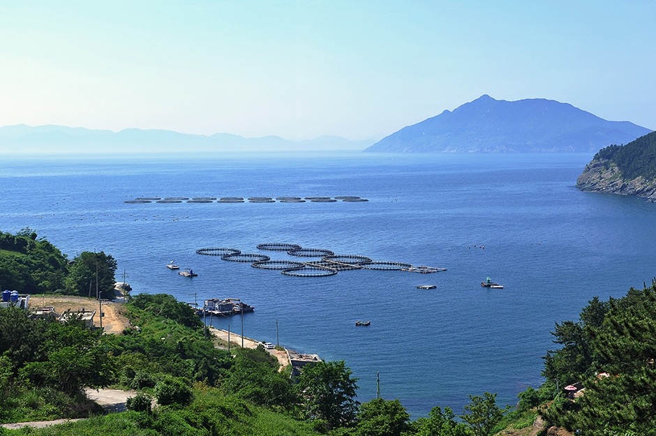 도동해변