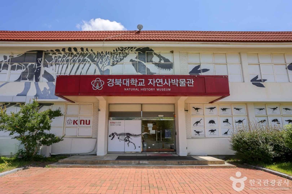 庆北大学自然史博物馆