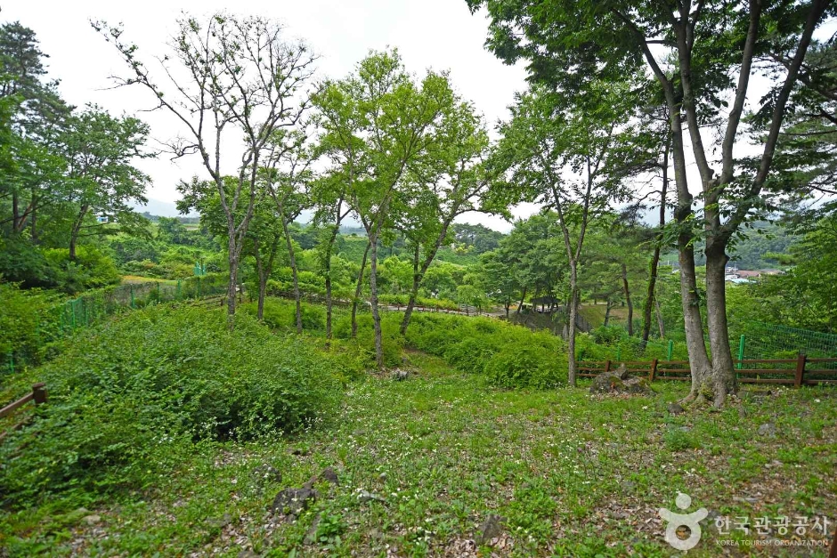 槐山栗池里ミソンナム自生地