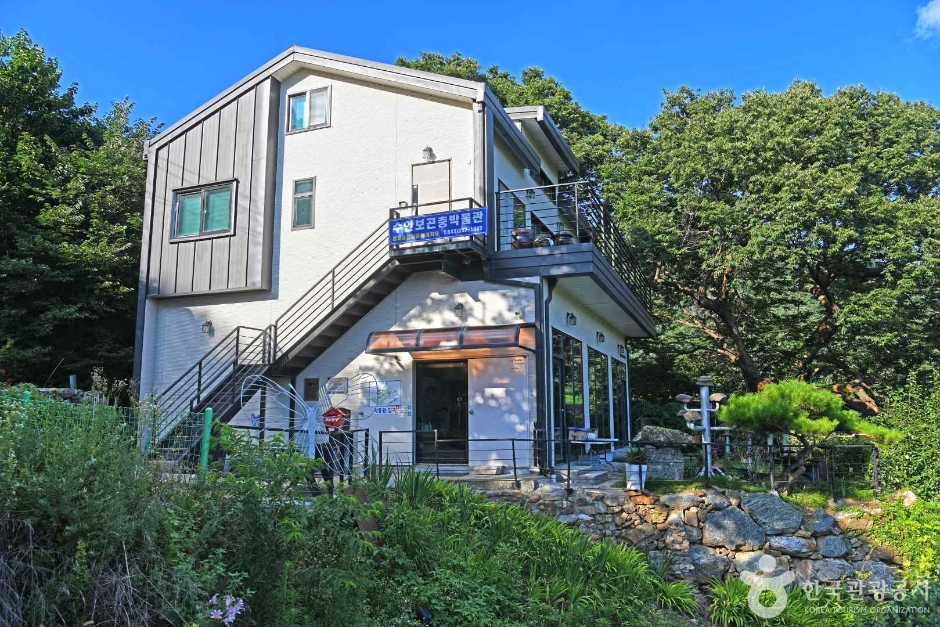 水安堡昆虫博物館