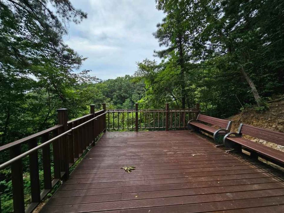 Taejosan Park Barrier-Free Trail