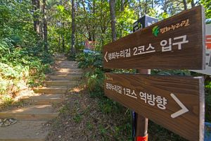 평화누리길 2코스 조강철책길 사진 2
