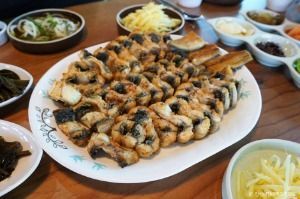 정선애장어먹으러와요