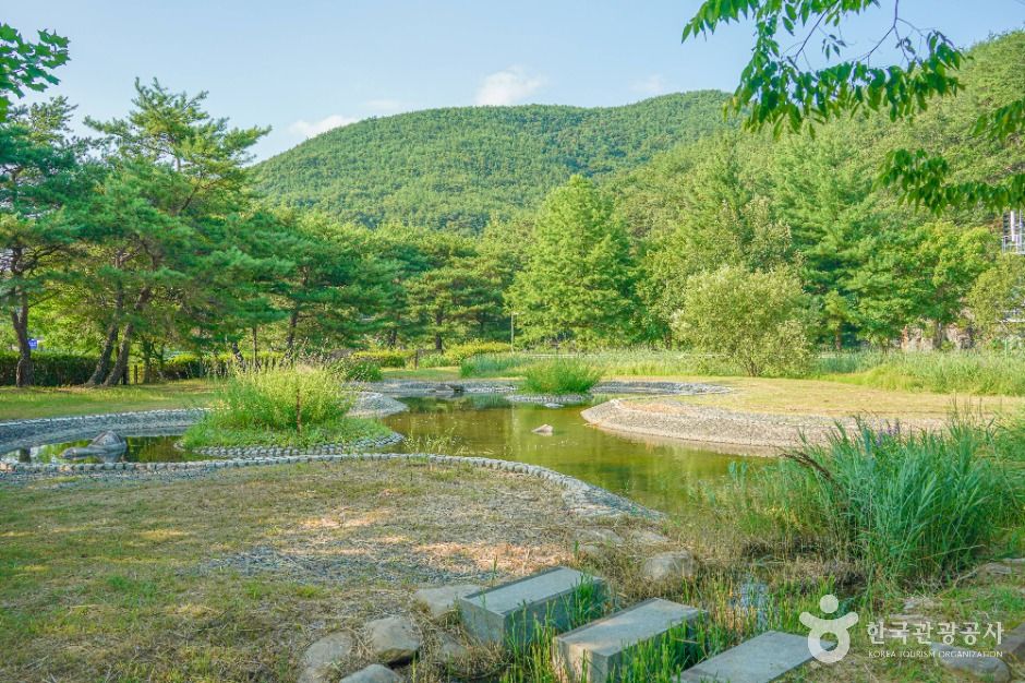 Miryang Dam Ecological Park