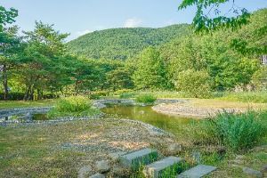 밀양댐 생태공원