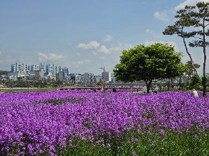 영천생태지구공원