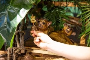 주렁주렁 경주점