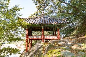 3568312 image3 1 예스키즈존 탐험대 : 실패 없는 육아여행