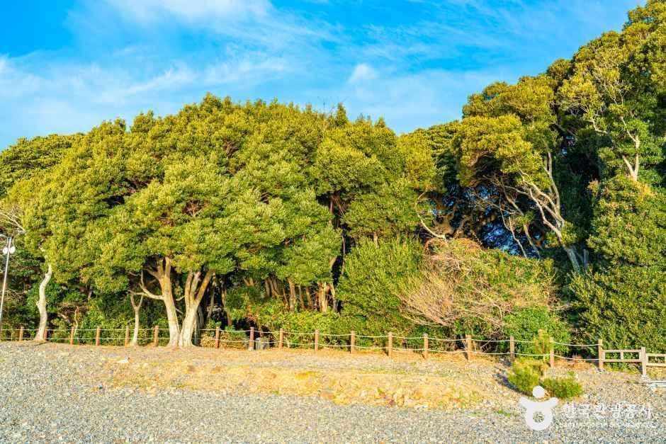 미라리해수욕장