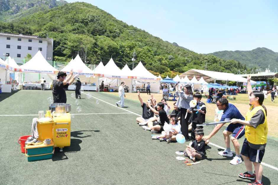 완주 대둔산 축제