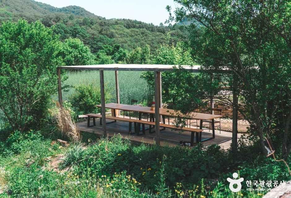 이가본때