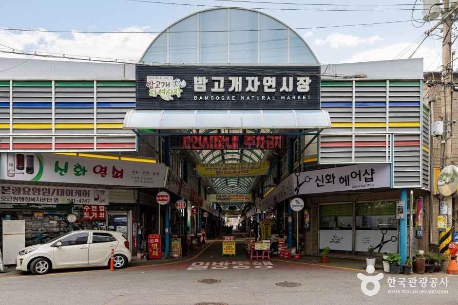 밤고개자연시장 - 충청북도 청주시 청원구 내덕동 관광 명소