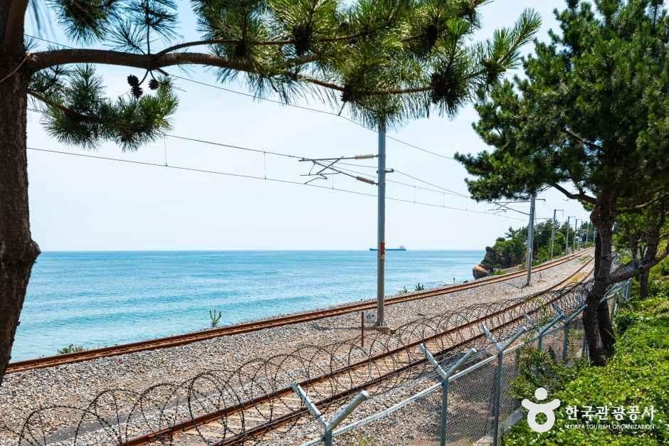 하평해변(동해) 사진 2