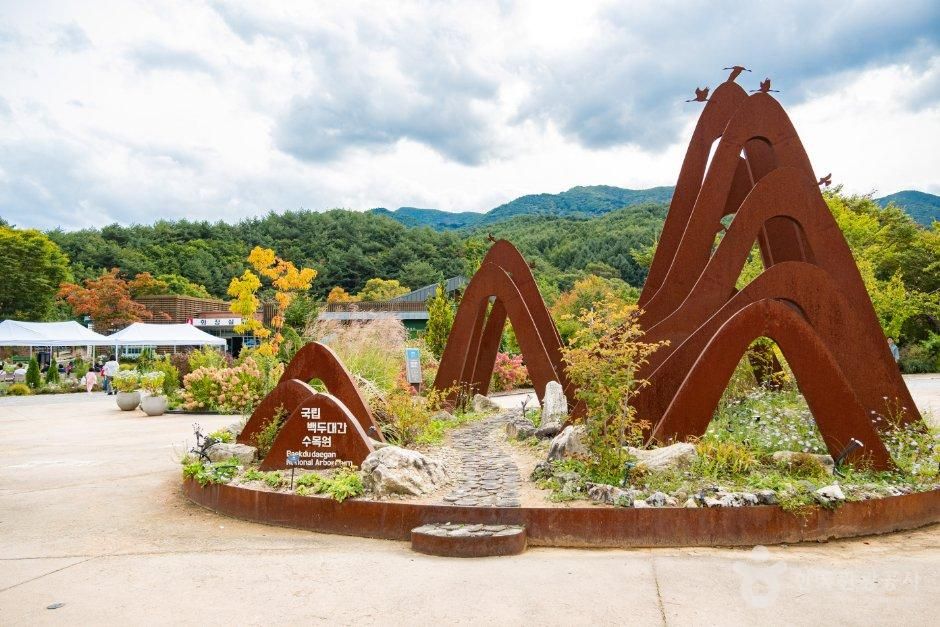 백두대간의 정기가 흐르는 봉화, 색다른 매력을 찾는 여행_경북_봉화_국립백두대간수목원_1.jpg