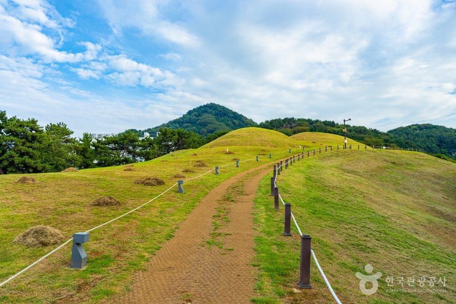 부산_연제구_부산연산동고분군 (4).jpg