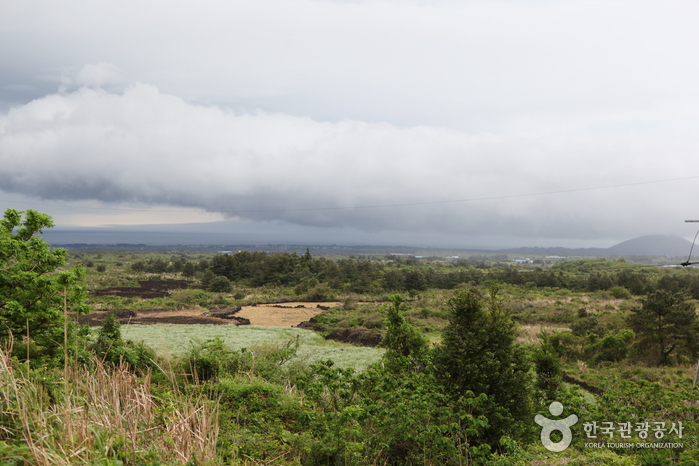 다랑쉬오름(월랑봉)