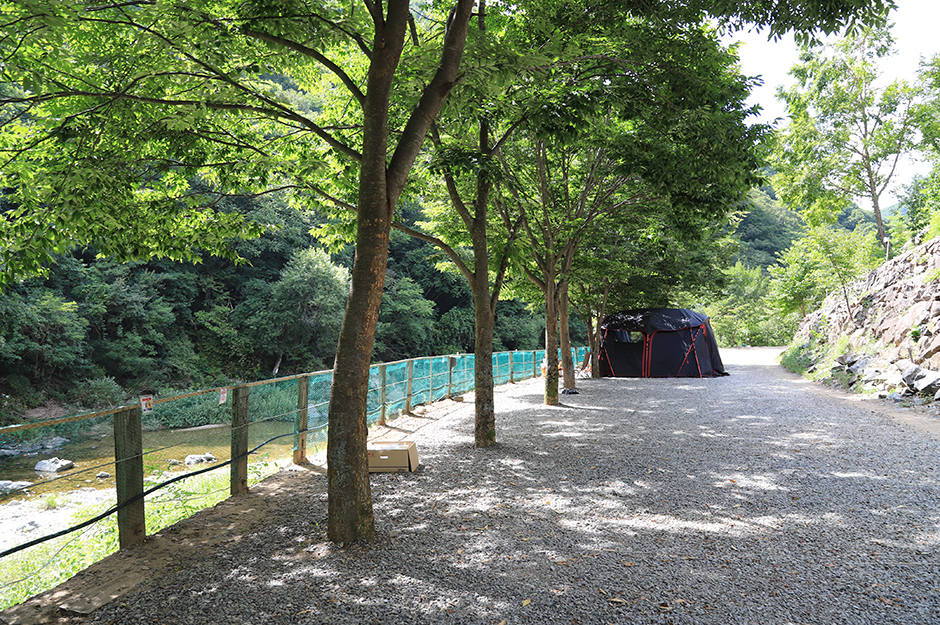 ワラ キャンプ場