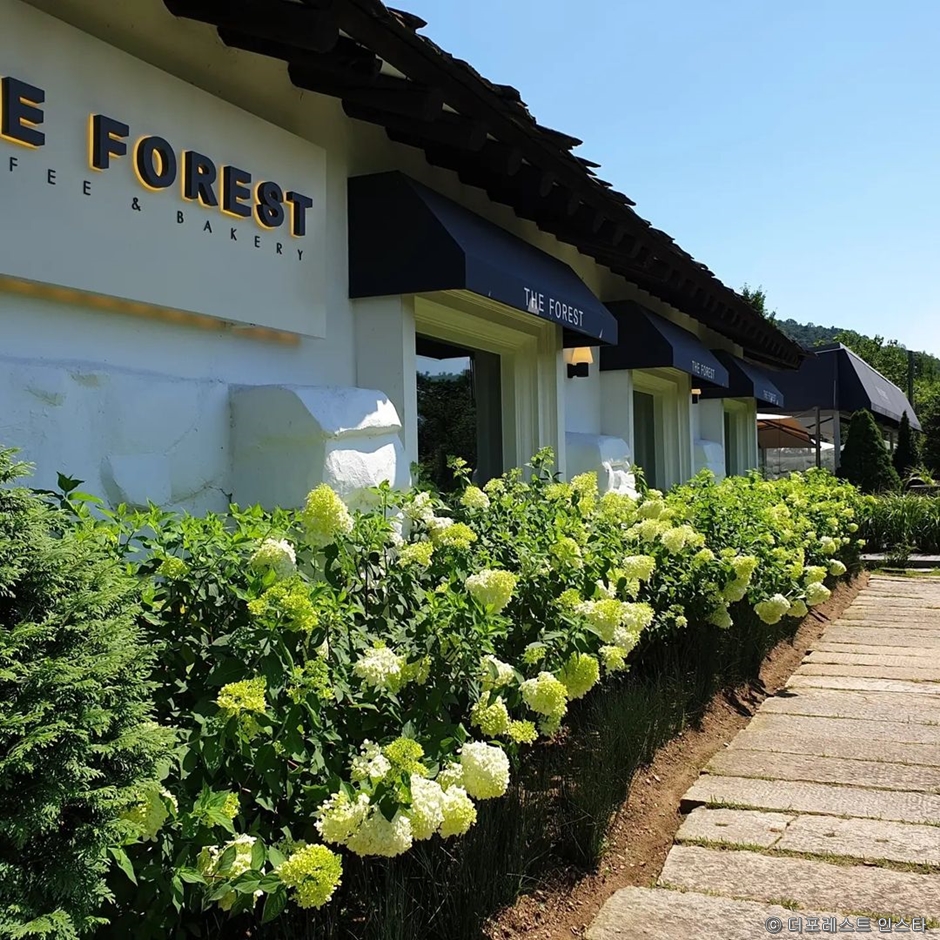 The Forest Cafe