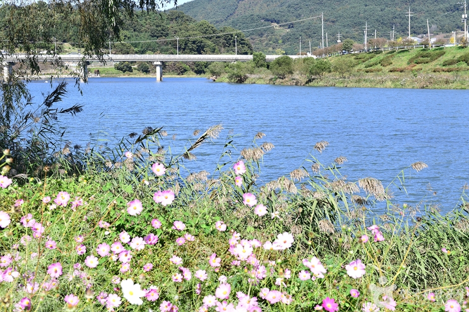 Daehwanggang Natural Rest Park