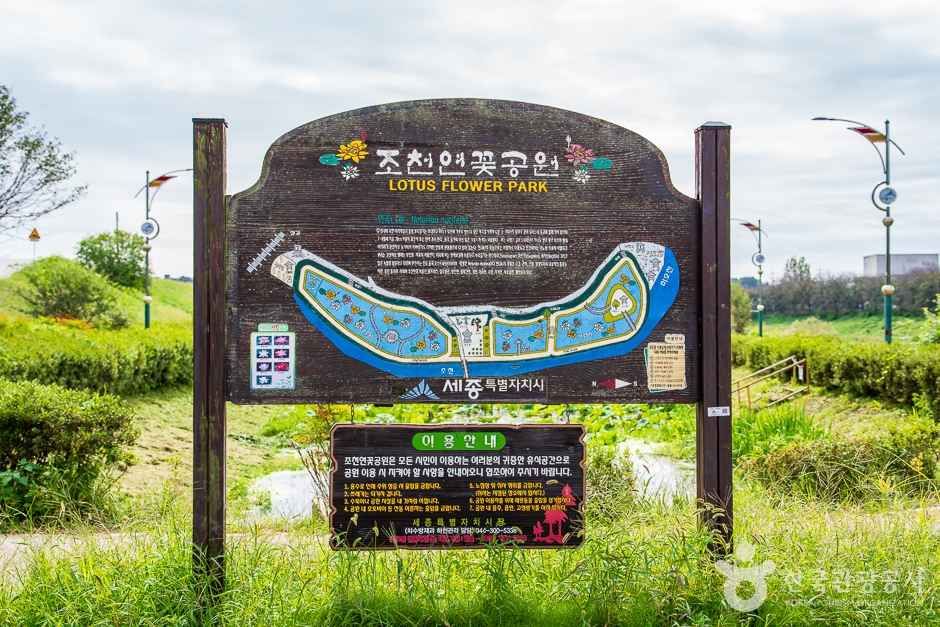 鳥川蓮花公園