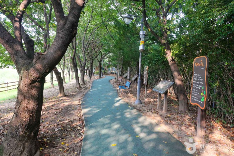 雲川貯水池