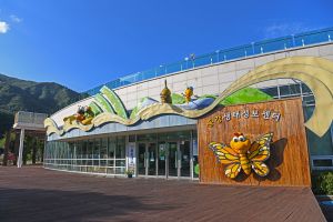 영월동강생태공원