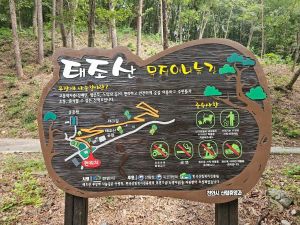 태조산공원 무장애 나눔길 사진 4