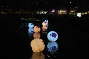 良才川桜灯祭り（양재천 벚꽃 등（燈）축제）