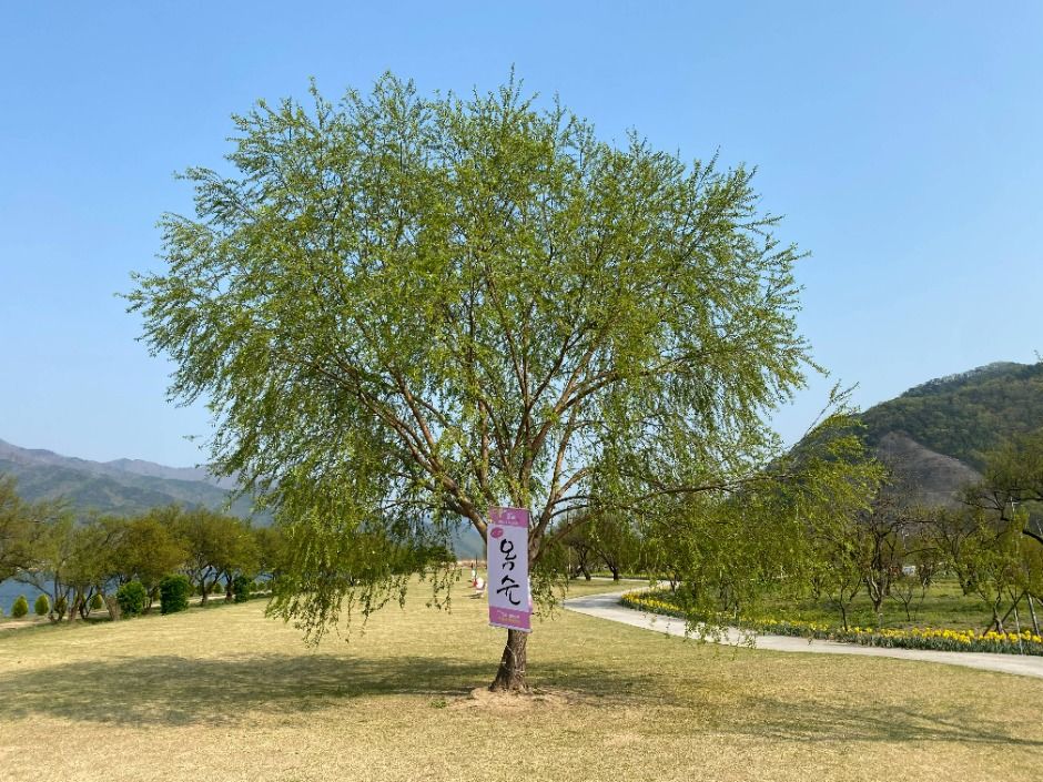 용당나루 매화공원