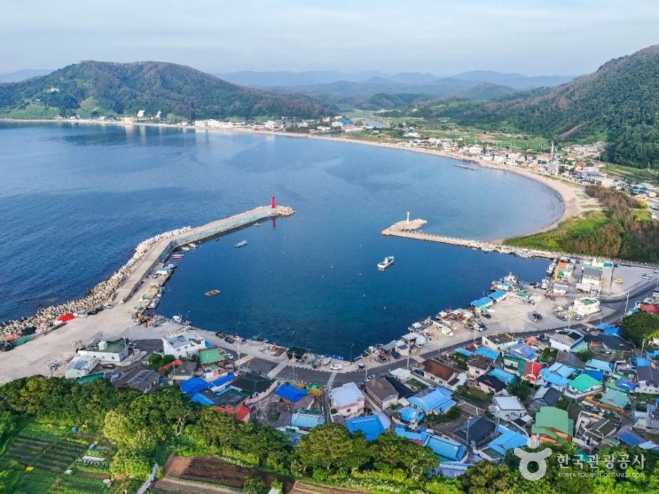 茅浦港