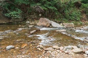 3563513 image3 1 예스키즈존 탐험대 : 실패 없는 육아여행