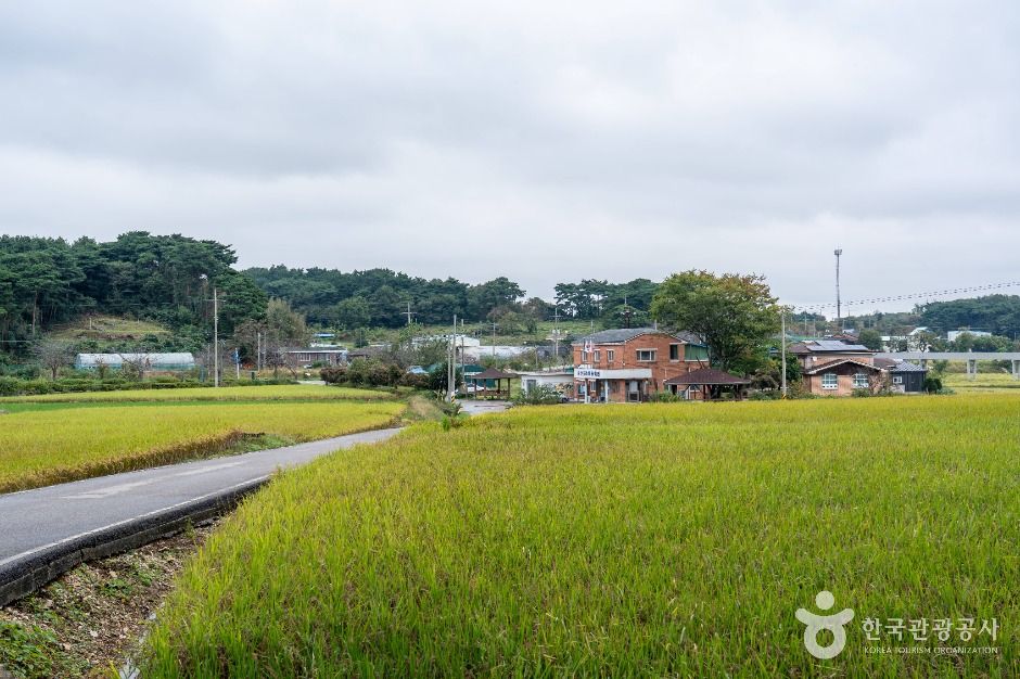 瑞山 回浦村