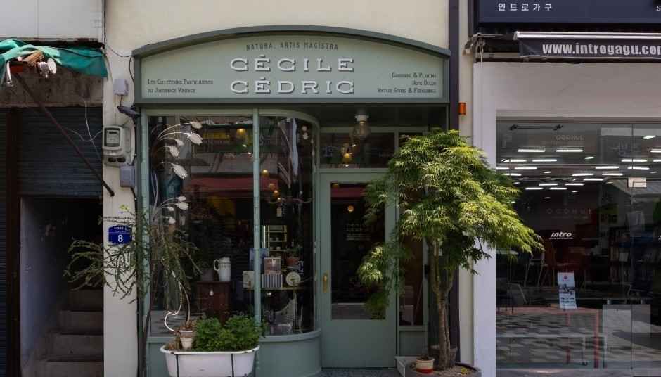 [事後免税店]CECILE ＆ CEDRIC(세실앤세드릭)