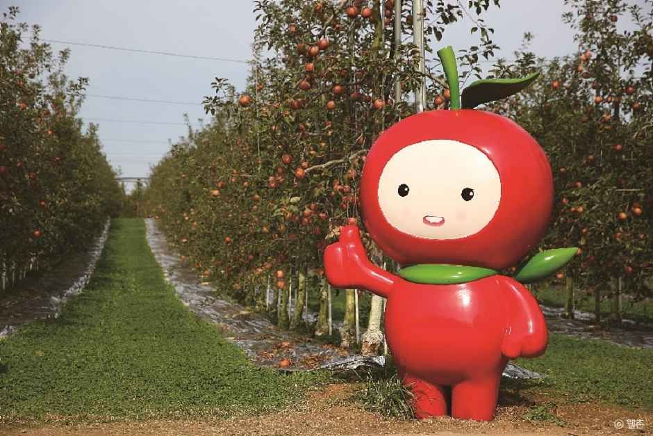 예산 알토란사과마을