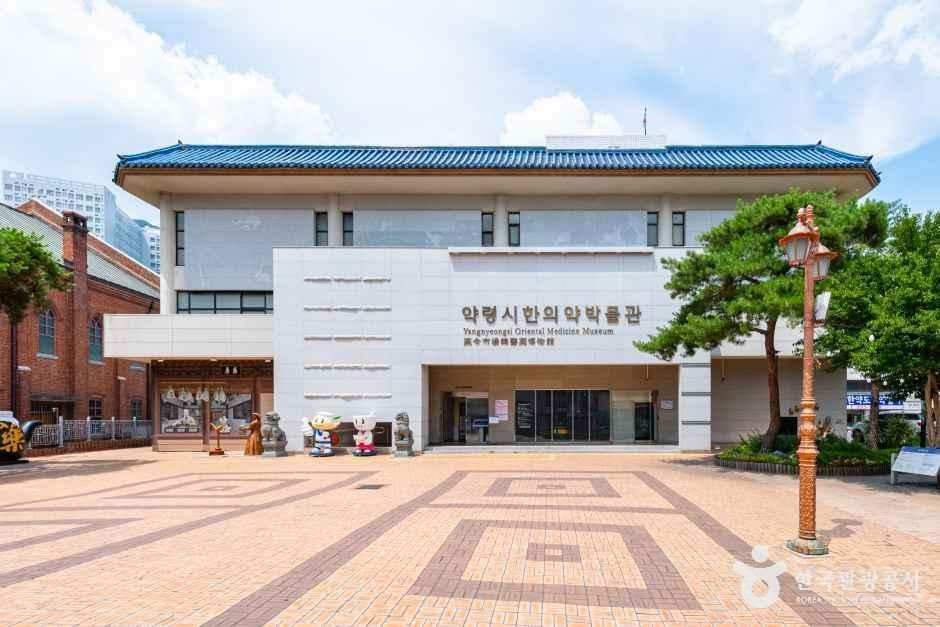 대구 약령시 한의약박물관 - 대구광역시 중구 달구벌대로415길 49 (남성로) 관광 명소