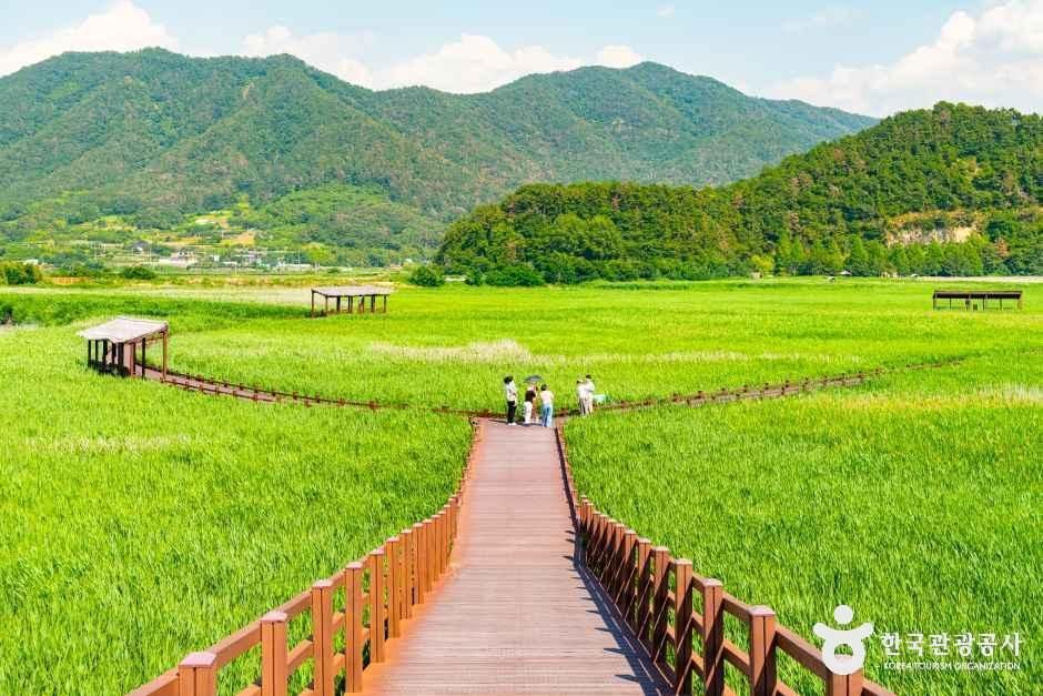 전남광주_순천_순천만습지_외부_4.jpg