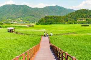전남광주_순천_순천만습지_외부_4.jpg