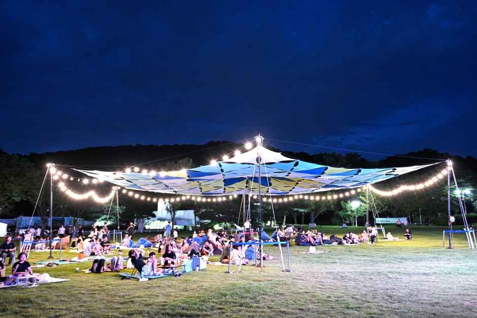 真夏の夜 新亭湖の星明り祭り