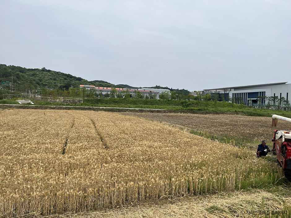 산청_[지리산둘레길] 수철-성심원 (3).jpg