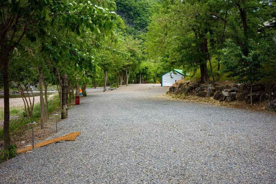 마루펜션 캠핑장