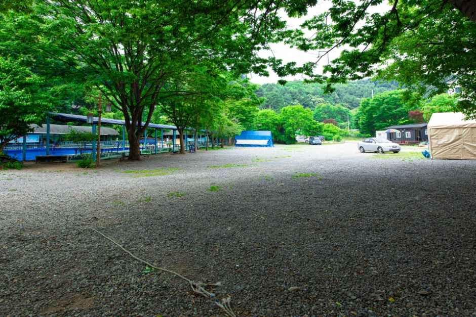 비타민캠핑장