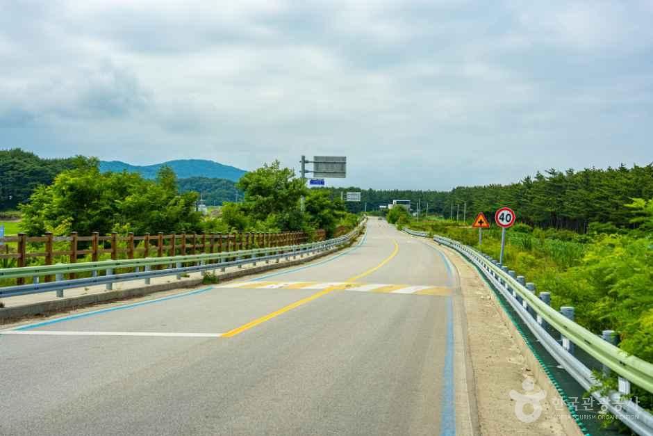[해파랑길] 48코스 사진 1
