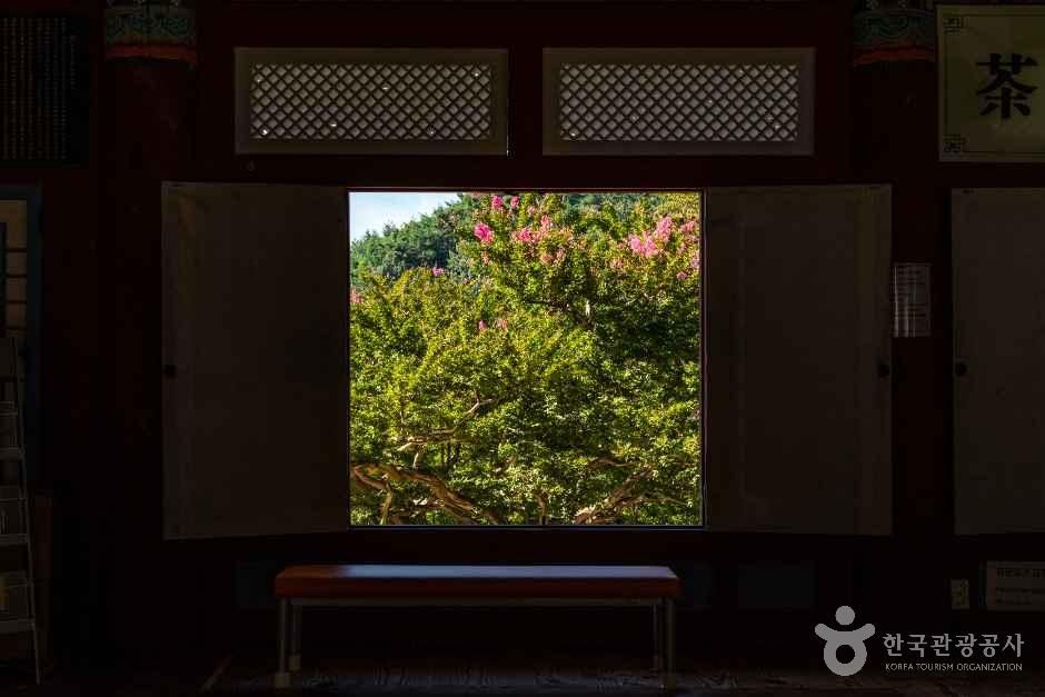 白蓮寺（康津）（백련사（강진））