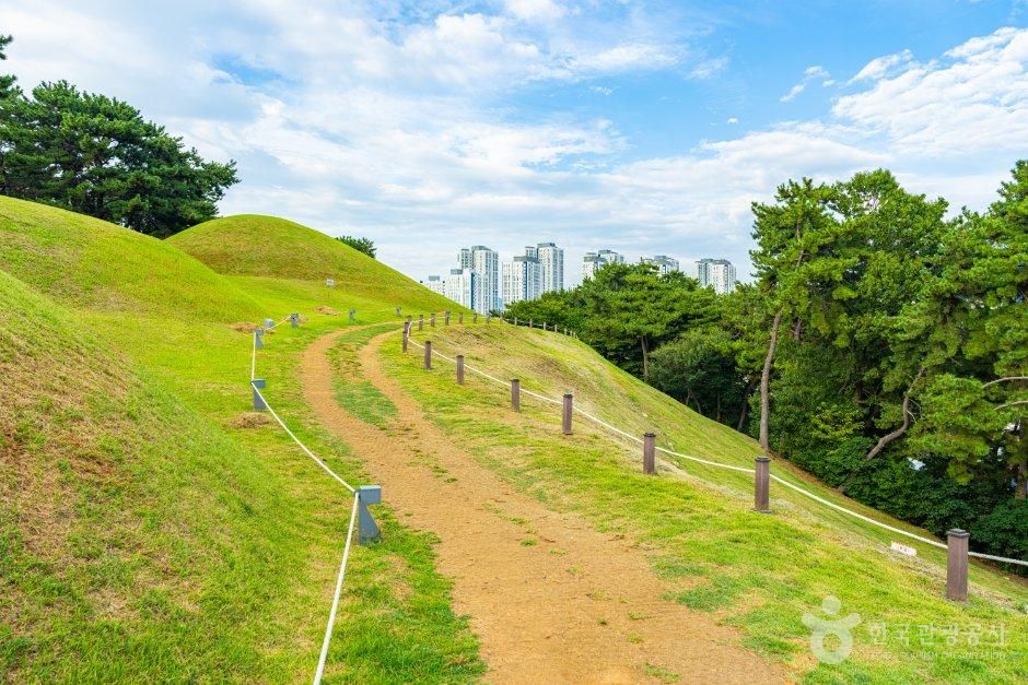 부산_연제구_부산연산동고분군 (5).jpg
