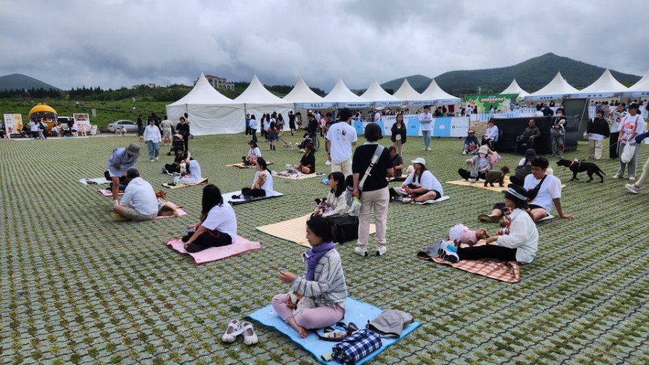 제주 반려동물 문화산업 한마당